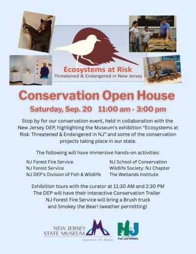 ecosytemsevent 09.20.25