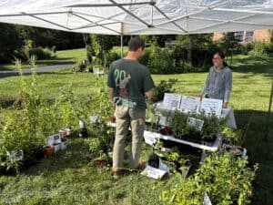 nativeplantsale 08.02.25 1