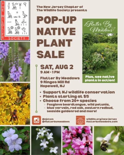 nativeplantsale 08 02 25